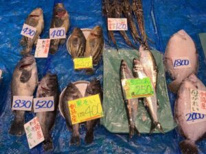 市場の魚1